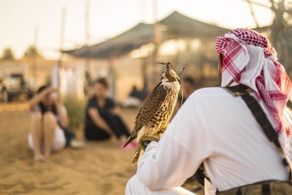 All You Need to Know About Falconry in Dubai