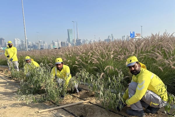 Dubai Municipality Undertakes a New Agricultural Beautification Project