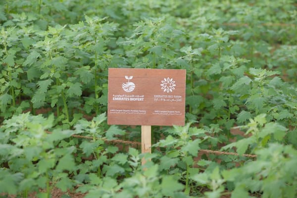 Expo City Farm to Host Inaugural Harvest Festival on April 27