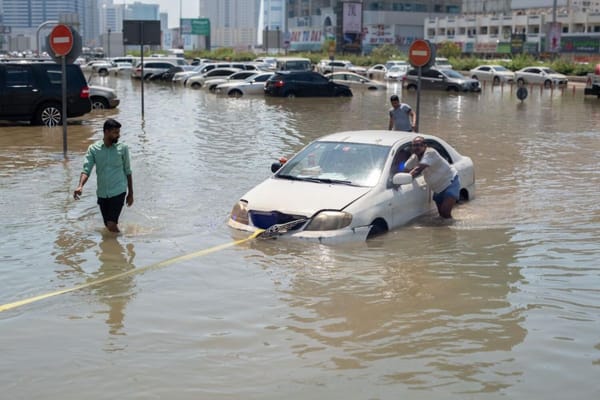 Dubai: Lost your car's plate number due to the rains? Here's how to retrieve it