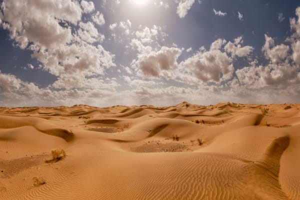 All About the Arabian Desert: Geography, Climate and More