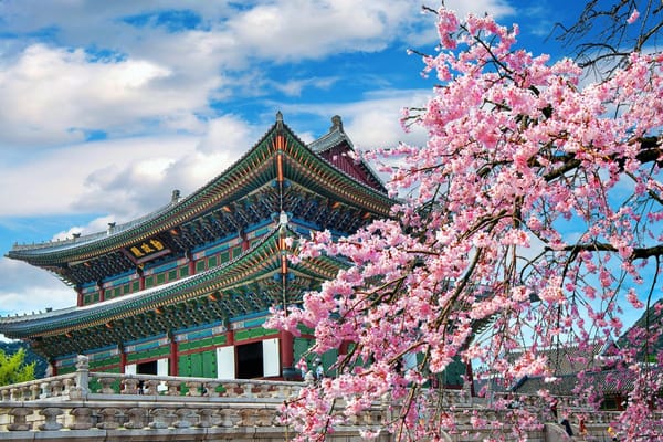 UAE: How to Obtain a Tourist Visa for South Korea