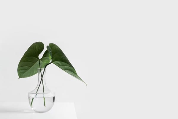 Transform Your Life with the Art of Minimalism