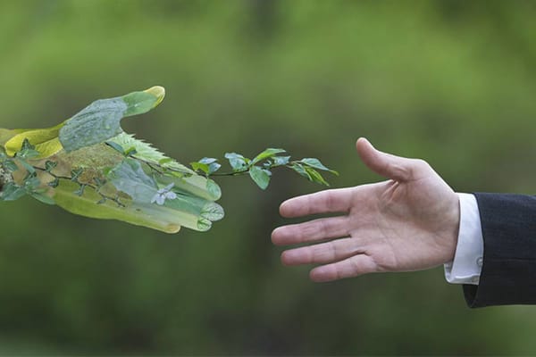 Setting the Standard: How Businesses in Dubai are Adopting Sustainability Trends