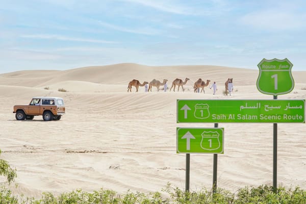 Dubai Approves Master Plan for Saih Al Salam Scenic Route and Rural Development Projects