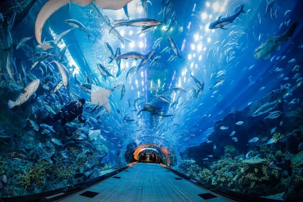 Veo Partners with U By Emaar for Dubai Fitness Challenge 2024