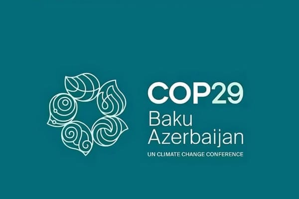 UAE Highlights Sustainable Construction Initiatives at COP29