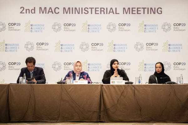 UAE Unveils MAC Strategy 2031 at COP29 to Boost Global Mangrove Conservation