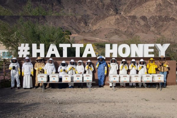 Brand Dubai Hosts Hatta Winter Festival Featuring Art, Fitness, and Cultural Activities