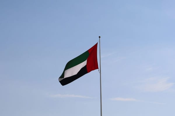 UAE's 2024 Cultural Milestones Showcase Creativity and Innovation