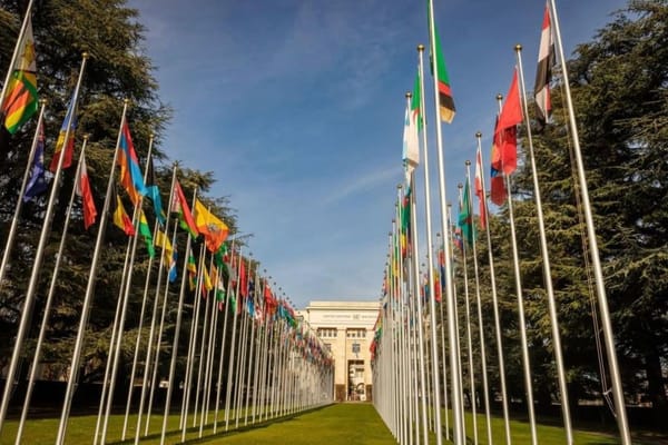 UAE Submits Periodic Report on Racial Discrimination to CERD