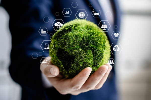 Sustainability in Dubai: Green Business Trends for 2025