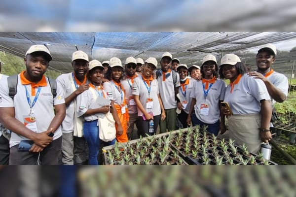 UAE and Brazil Launch Landmark Training Programme to Boost Africa’s Cashew and Cocoa Sectors