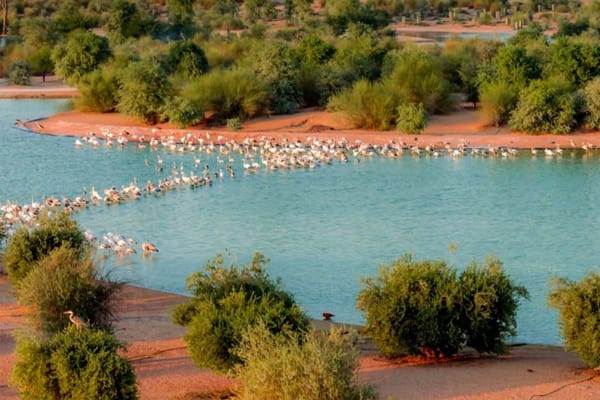 GCC Nature Reserves Expand by 6.6% in 2023
