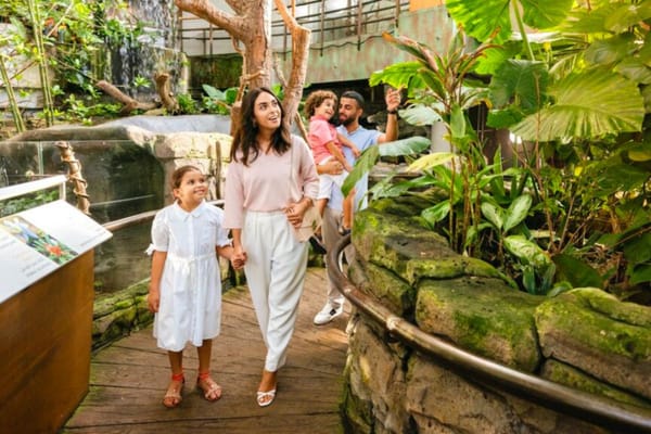 Indoor Fun: Marketing Dubai's Summer Tourist Attractions