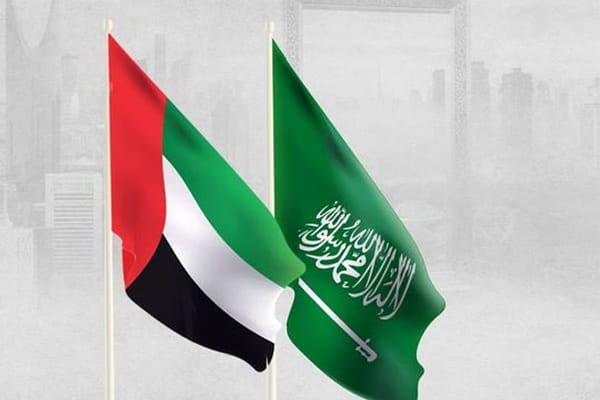 UAE Strengthens Maritime Partnership with Saudi Arabia