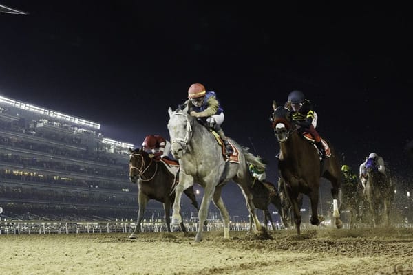 Dubai World Cup Draws Global Field to Meydan Racecourse