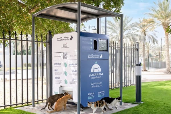 Dubai Municipality Launches AI Powered Ehsan Stations to Feed Stray Animals